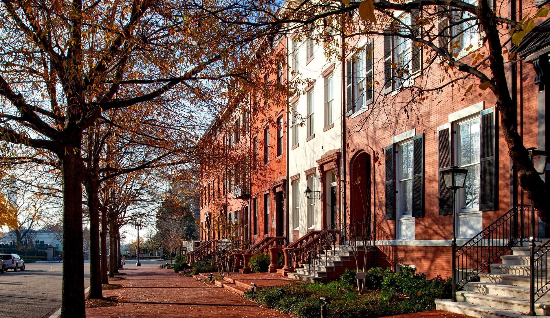 image of tree-lined sidewalk and row homes