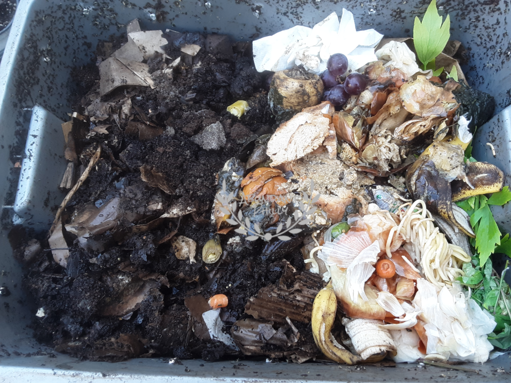 Food scraps for indoor compost bin in Philadelphia.