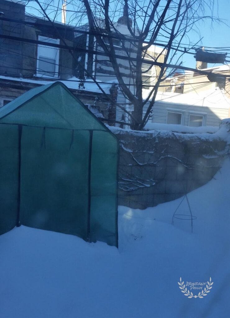 Greenhouse surrounded by snow.