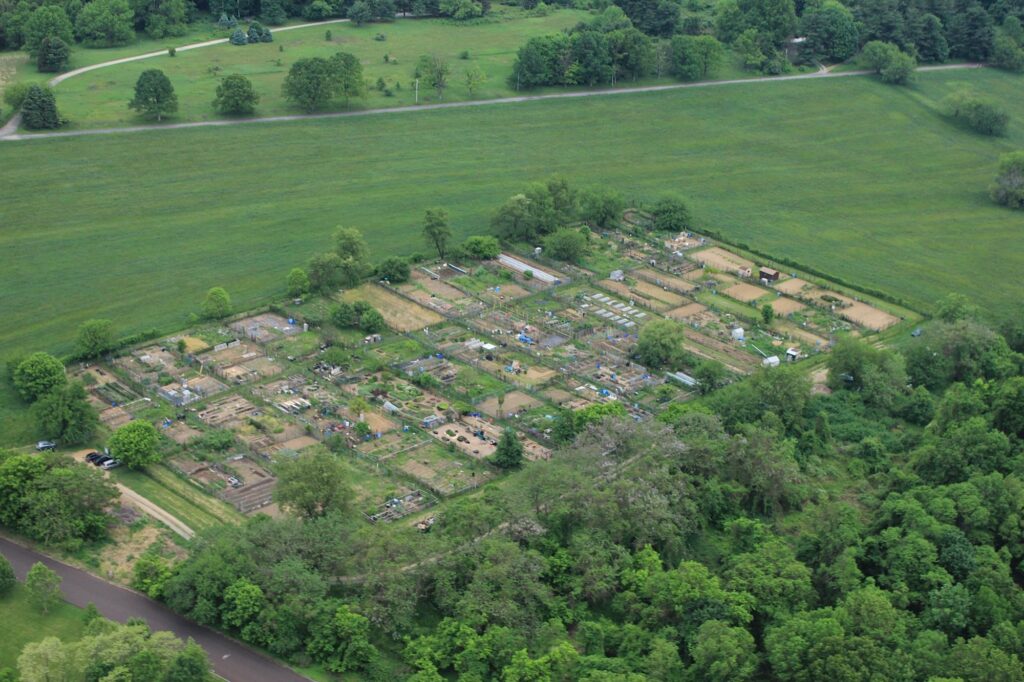 aerial view of garden space