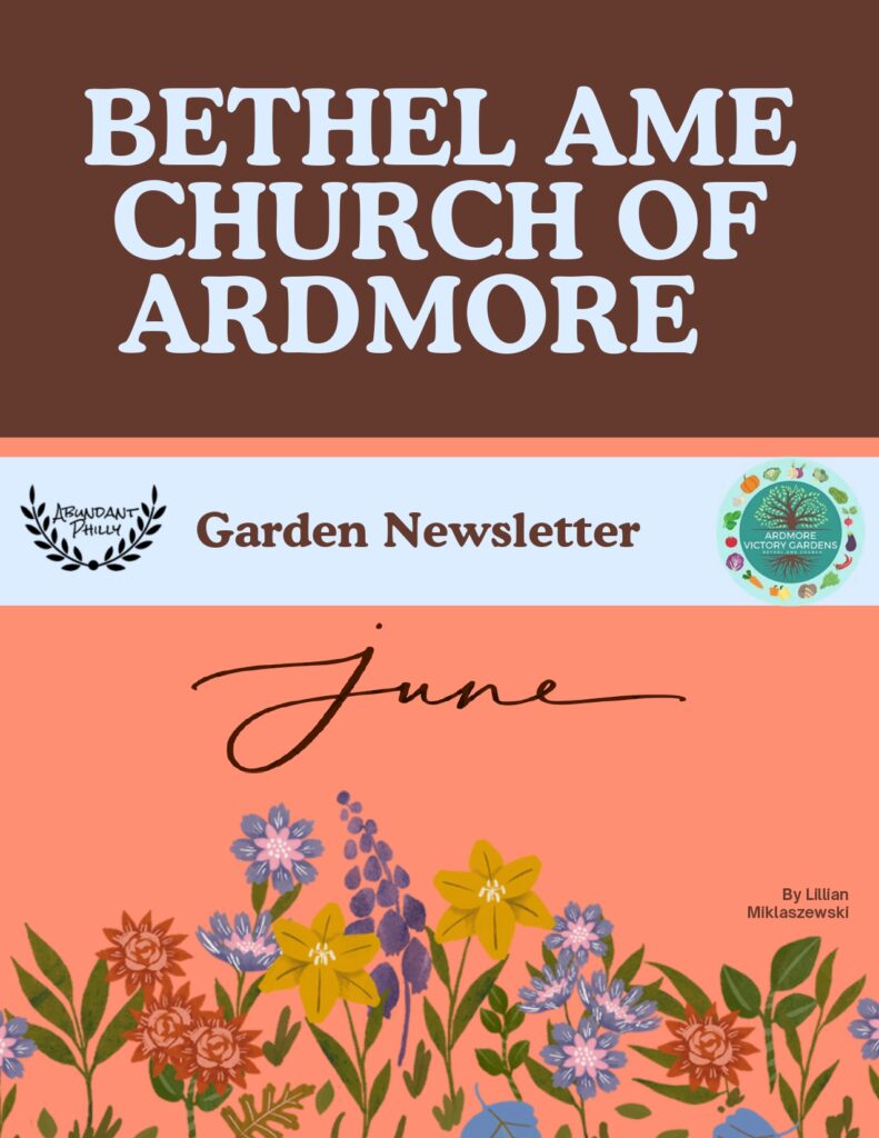 Cover page of the June 2026 Newsletter