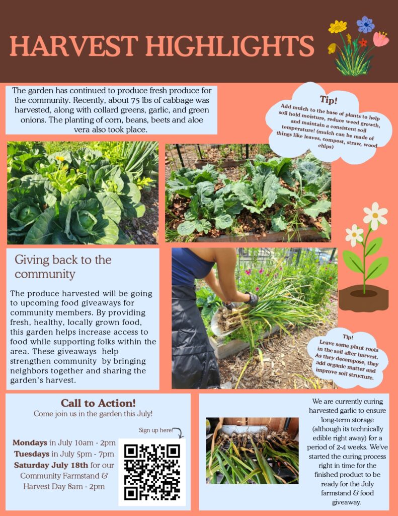 Page 1 of June 2026 newsletter describing highlights from the garden's harvest at Bethel AME Church of Ardmore.