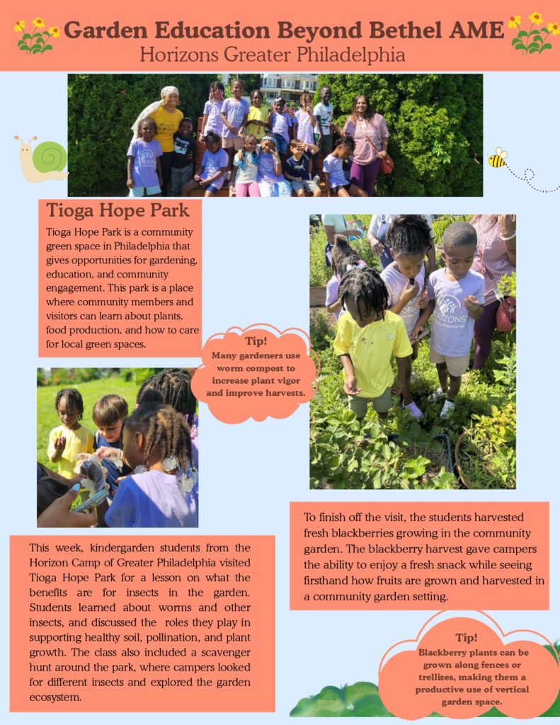 Page 3 of the June 2026 newsletter describing the garden & environmental science education work at Tioga Hope Park & Garden.